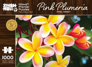 Pink Plumeria  Oahu, Hawaii